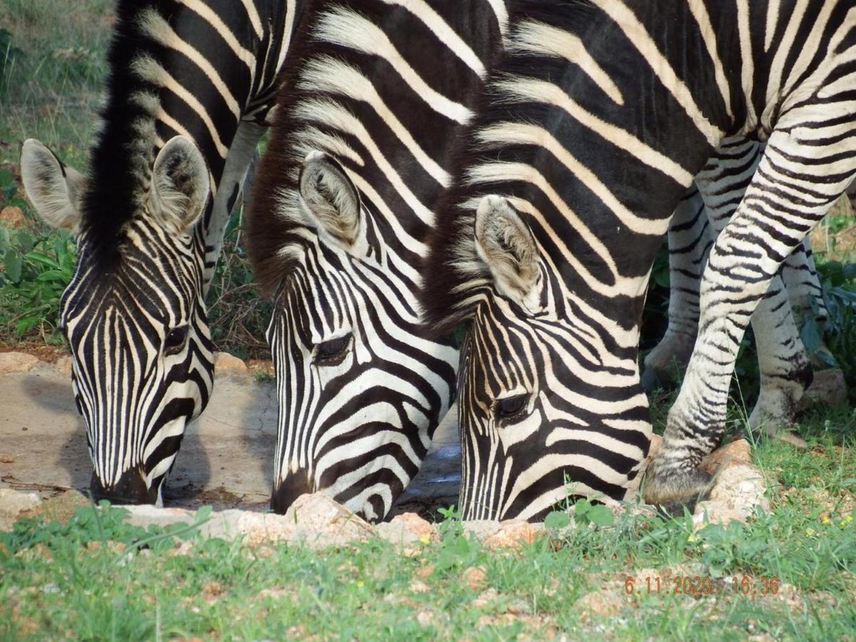 Ku Sungula Safari Lodge Rizab Memburu Balule Luaran gambar