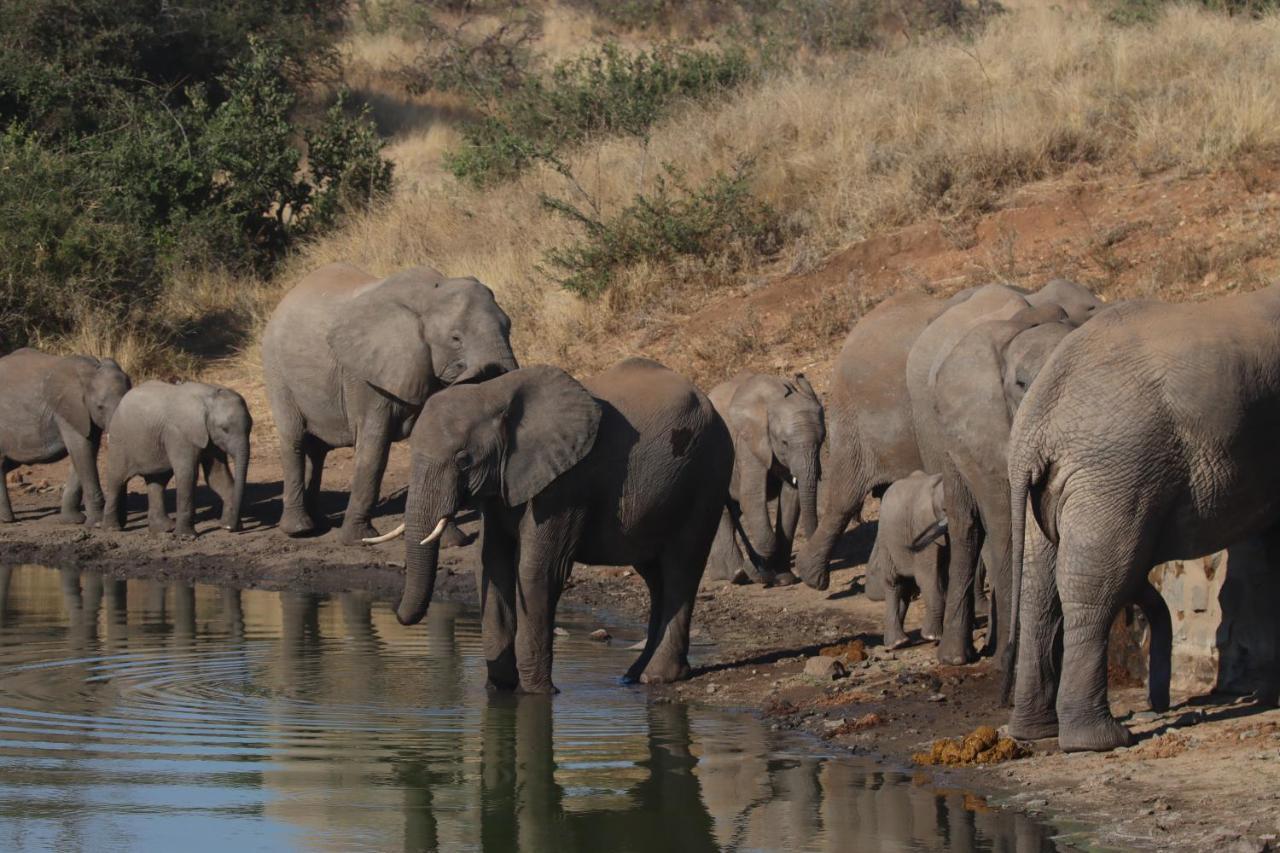 Ku Sungula Safari Lodge Rizab Memburu Balule Luaran gambar