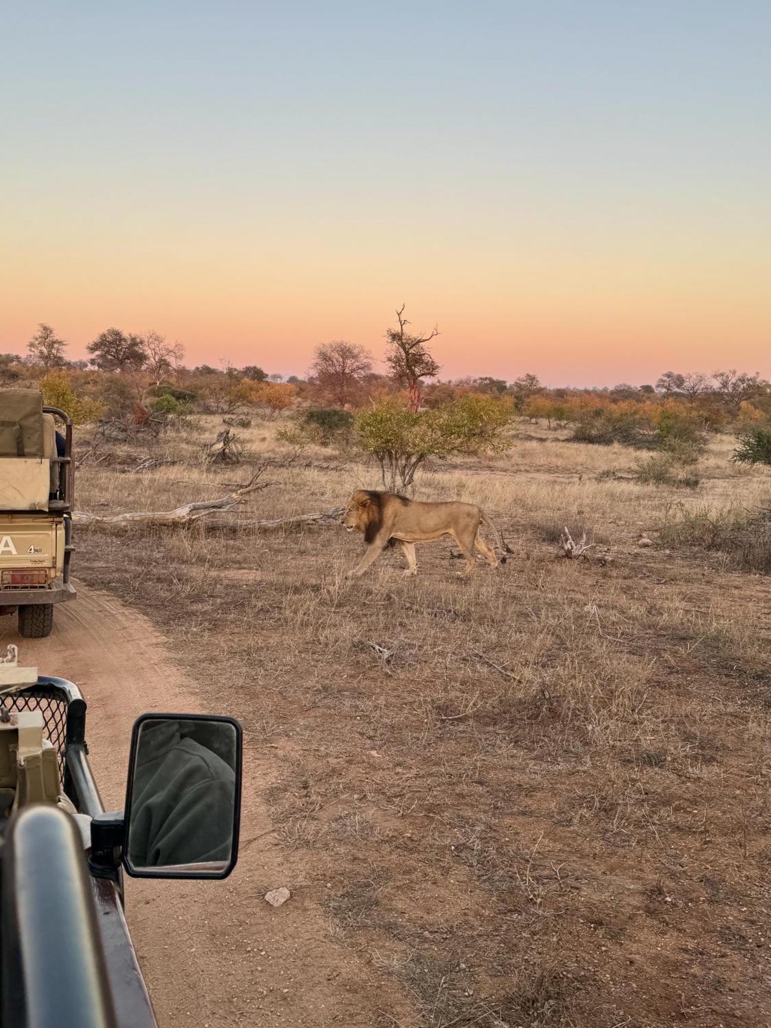 Ku Sungula Safari Lodge Rizab Memburu Balule Luaran gambar