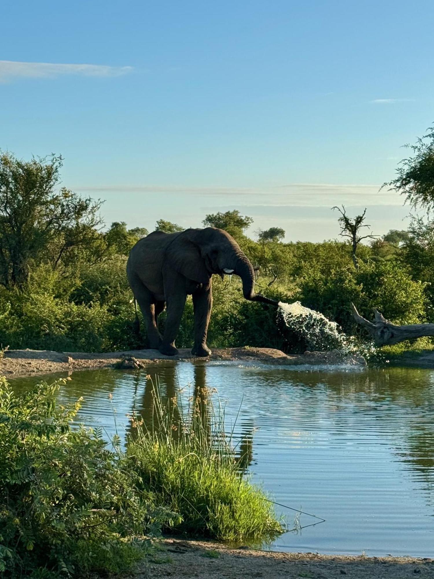 Ku Sungula Safari Lodge Rizab Memburu Balule Luaran gambar