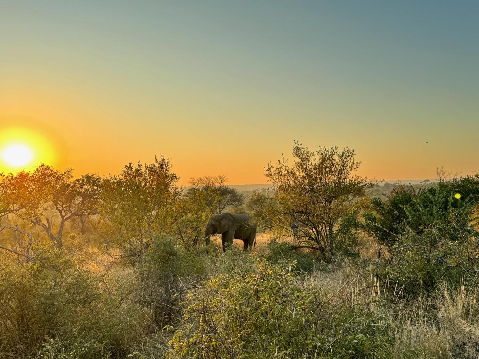 Ku Sungula Safari Lodge Rizab Memburu Balule Luaran gambar