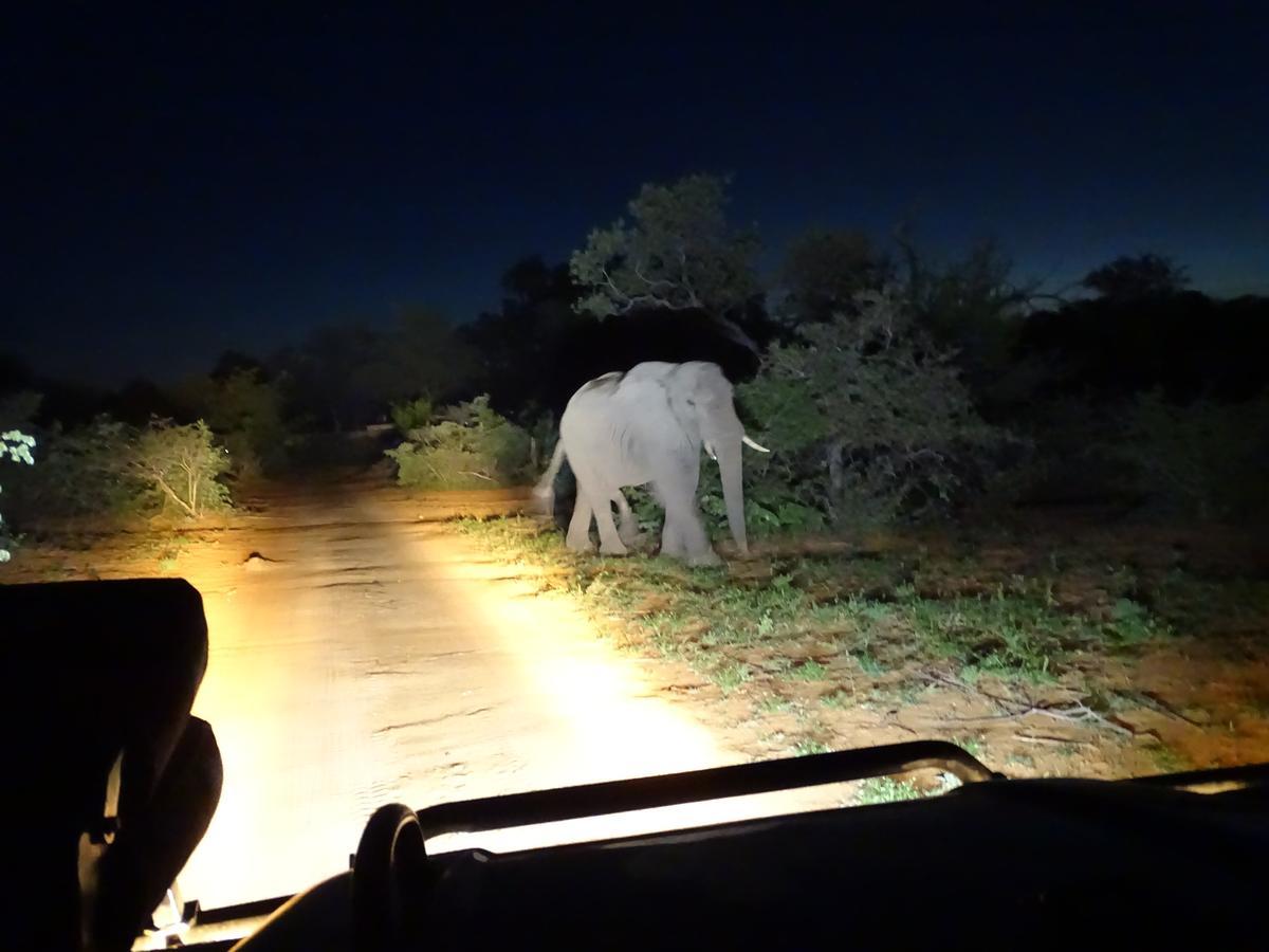 Ku Sungula Safari Lodge Rizab Memburu Balule Luaran gambar