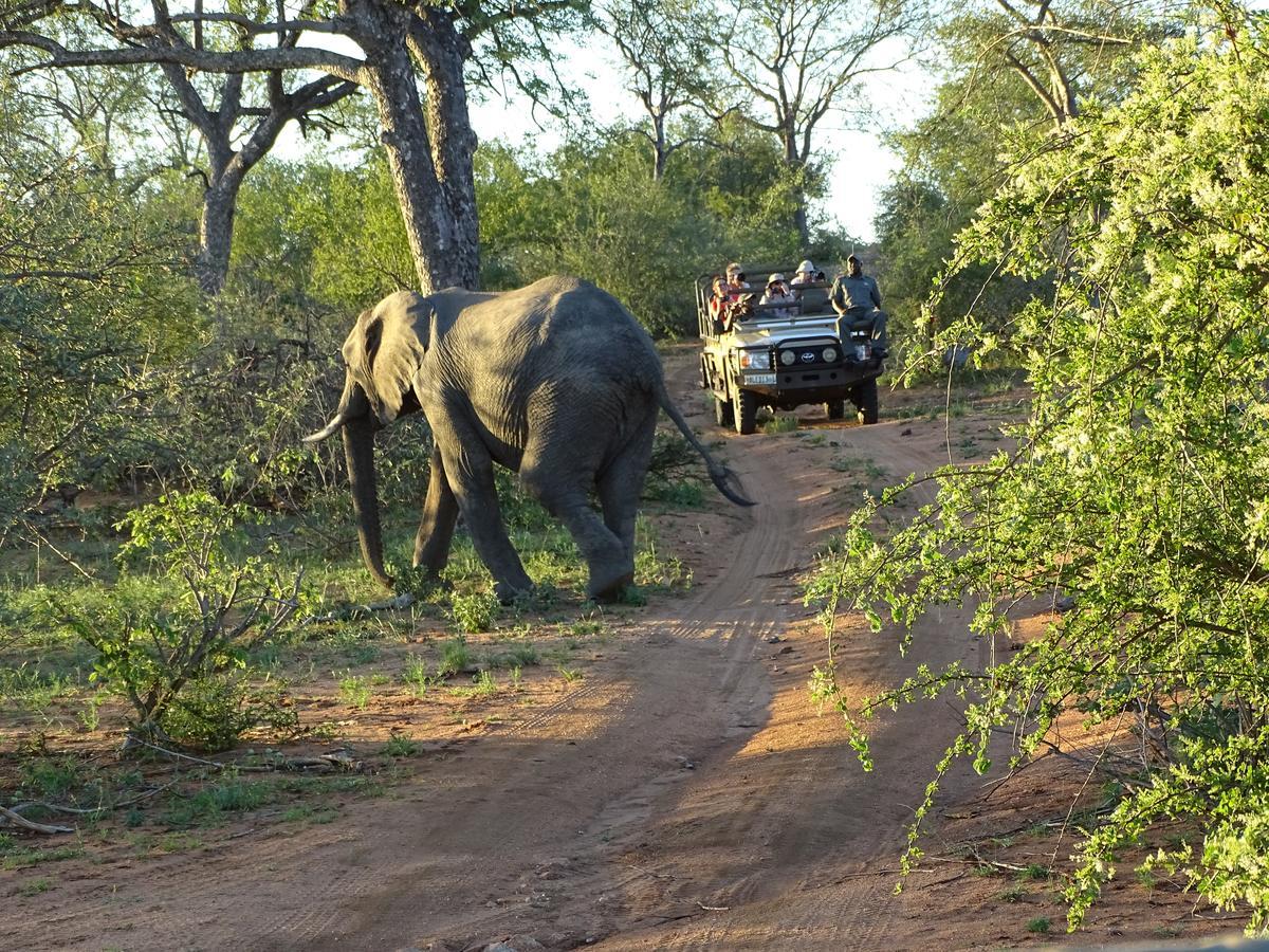 Ku Sungula Safari Lodge Rizab Memburu Balule Luaran gambar