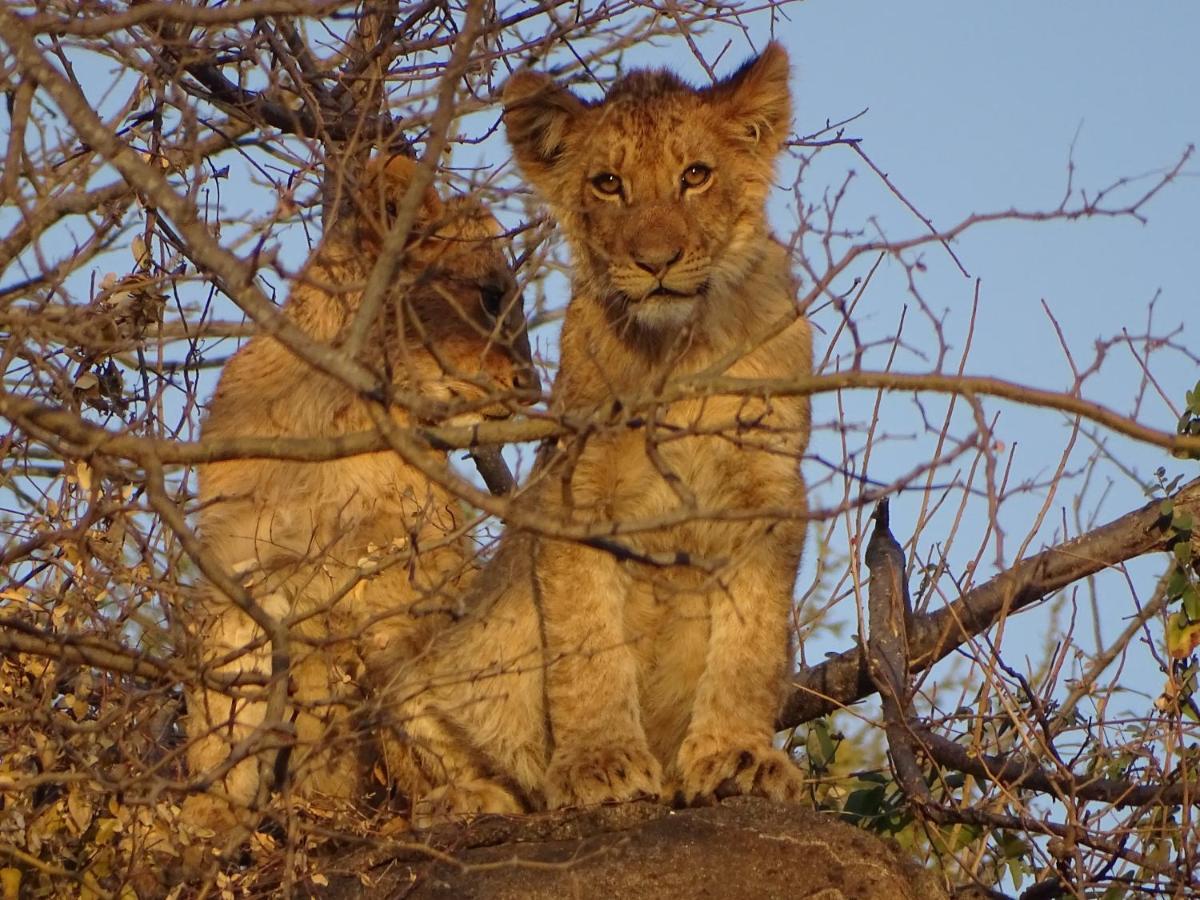 Ku Sungula Safari Lodge Rizab Memburu Balule Luaran gambar